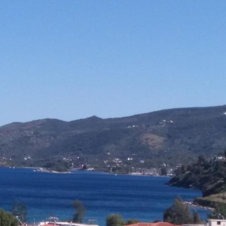 Forest & Sea Apartment Poros Town Extérieur photo