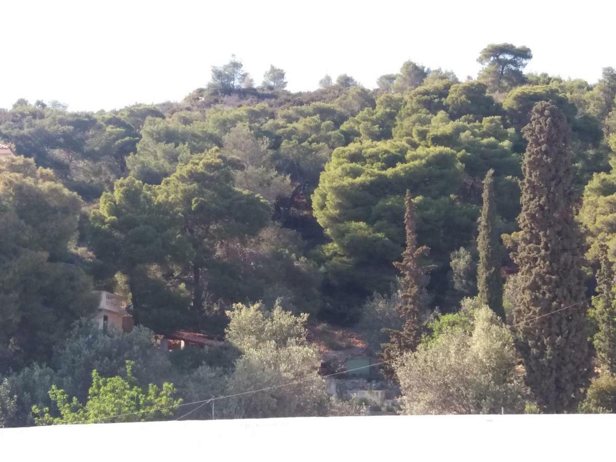 Forest & Sea Apartment Poros Town Extérieur photo